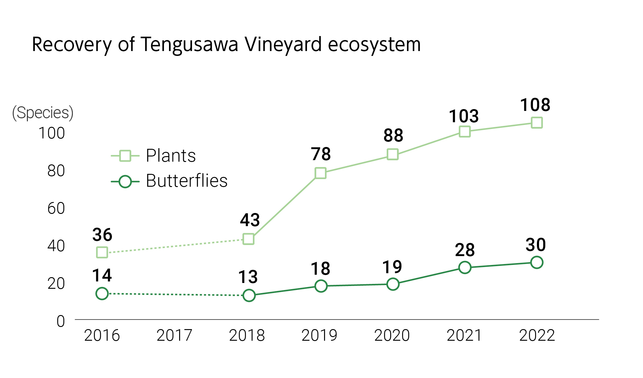Recovery of Tengusawa Vineyard ecosystem.2016 Plants36 Species　Butterflies 14 Species,2018 Plants43 Species　Butterflies13 Species,2019 Plants78 Species　Butterflies18 Species,2020 Plants88 Species　Butterflies19 Species,2021 Plants103 Species　Butterflies28 Species,2022 Plants108 Species　Butterflies30 Species.