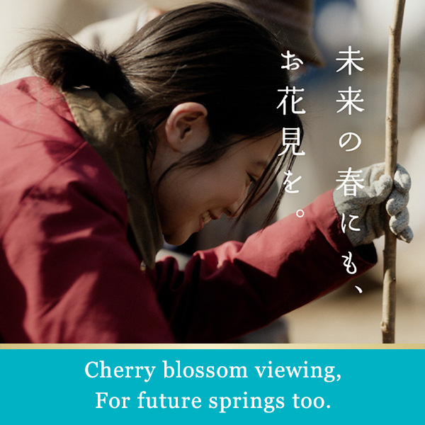 Cherry blossom viewing, For future springs too. 未来の春にも、お花見を。