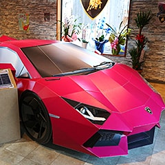 
駅前商店街に設置された、ダンボルギーニ。遠方から観に来る観光客も多い。