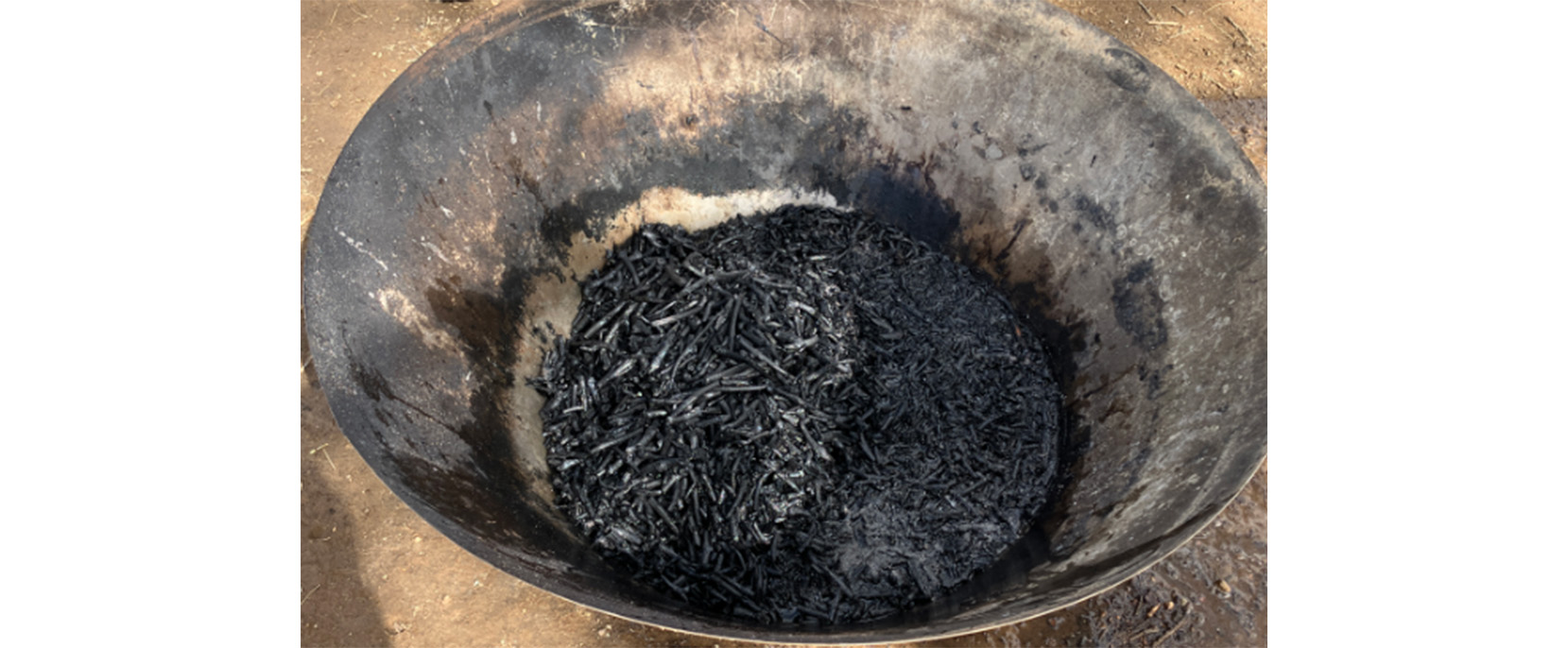 ブドウの剪定残渣などを活用したバイオ炭