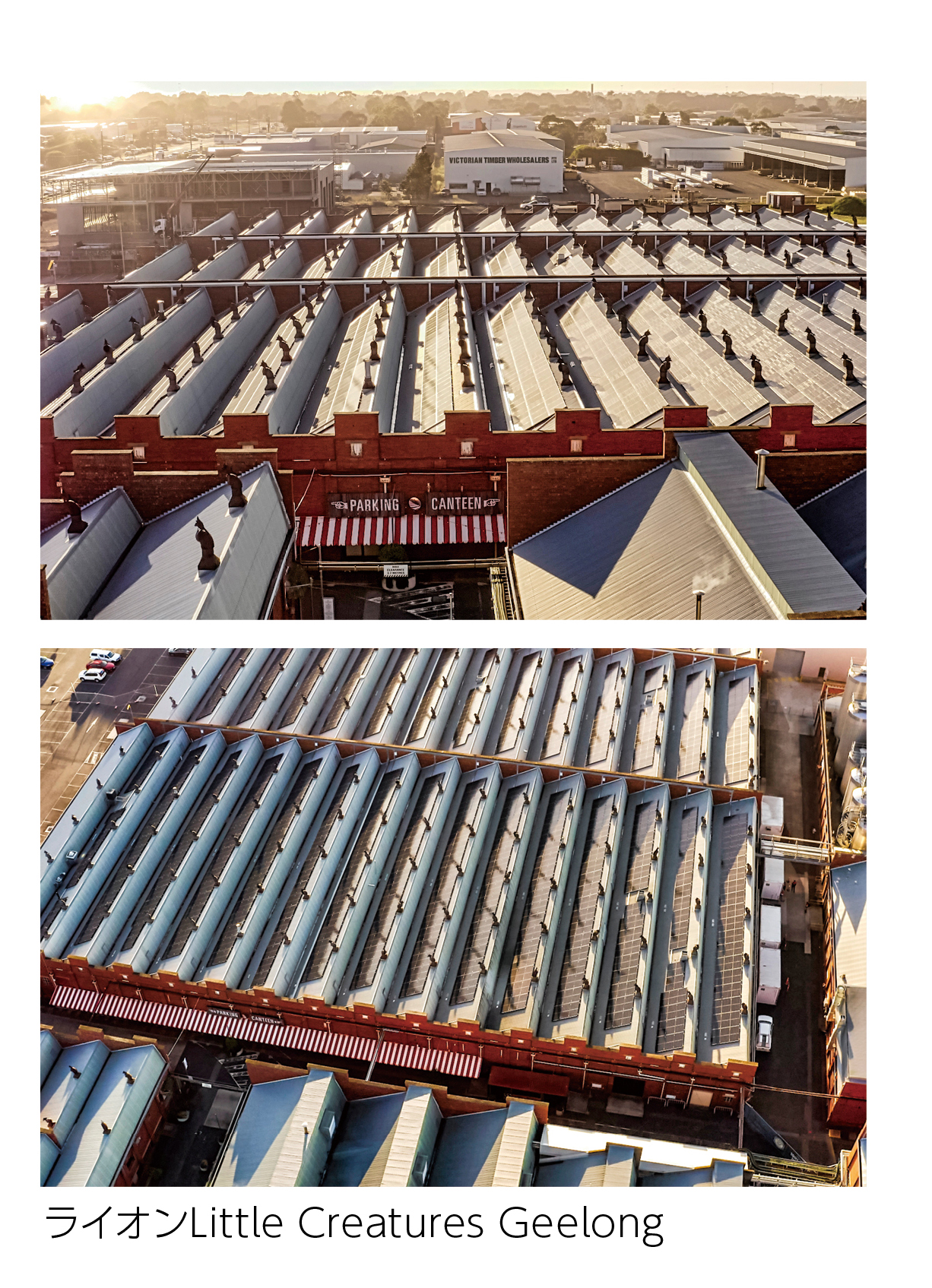 ライオンLittle Creatures Geelong