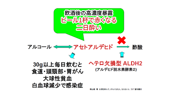 飲酒後の高濃度暴露について①